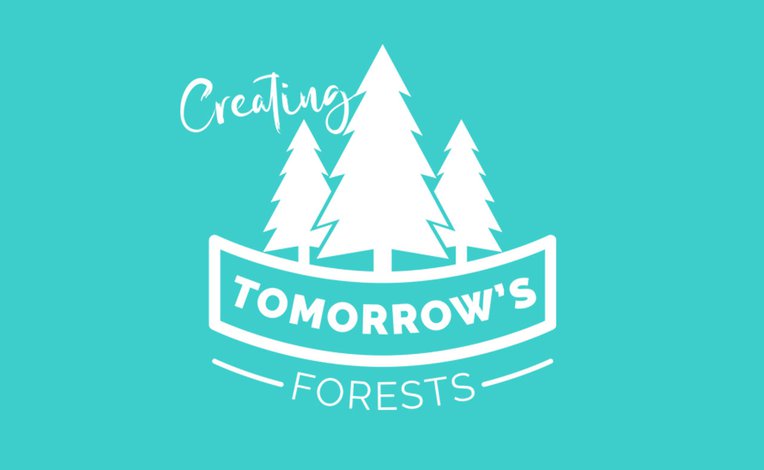 Planting with Creating Tomorrow's Forest image