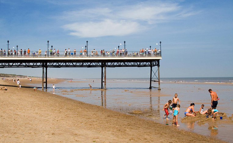 are dogs allowed in skegness pleasure beach