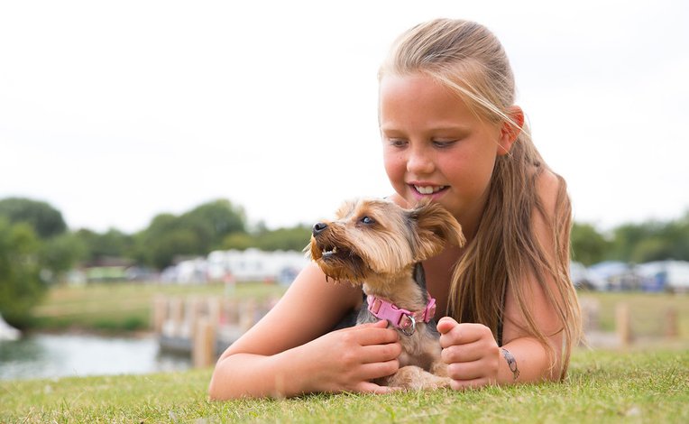 Pet Friendly Holiday Parks image